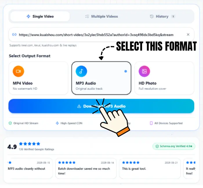 User interface showing how to select the MP3 Audio option before clicking the Download MP3 Audio button.