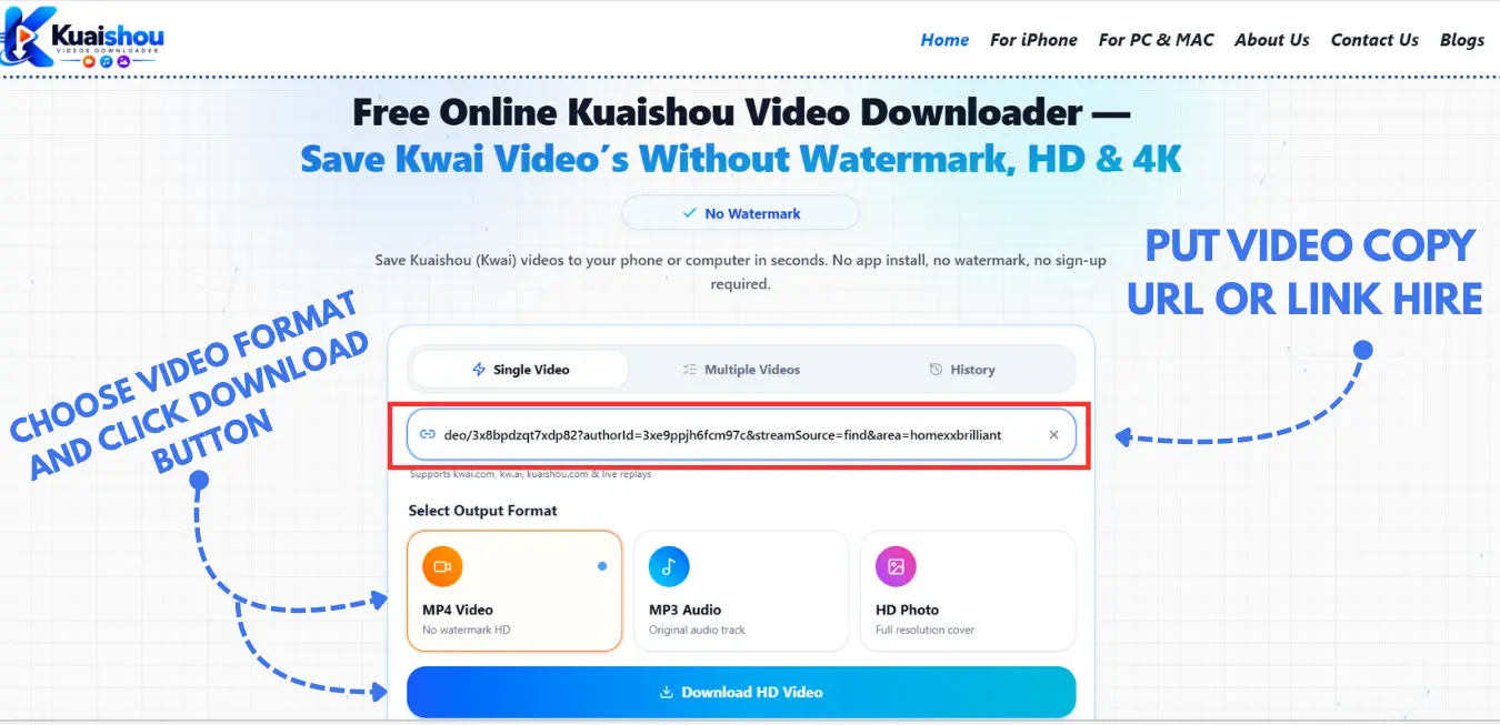 Kuaishou video downloader with video link and MP4, MP3, and HD photo options